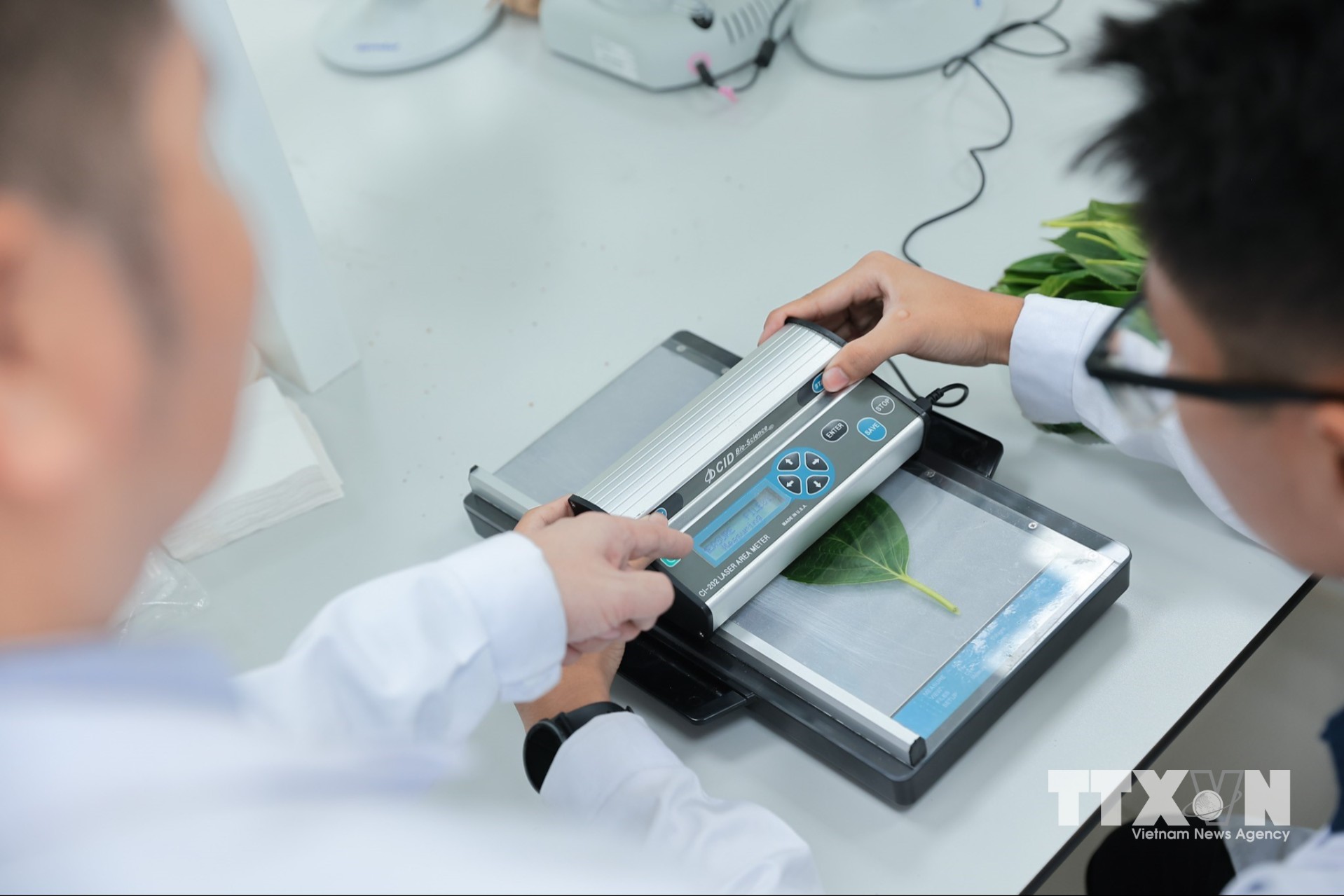 Hoạt động thực hành với Máy đo diện tích lá giúp sinh viên Khoa nông học đánh giá sức khỏe, sự phát triển và phản ứng của cây đối với môi trường. (Ảnh: Lê Đông/TTXVN)